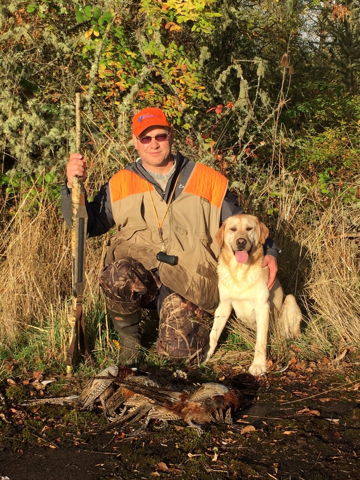 Labrador Retriever Breeder In Oregon Labrador Puppies For Sale